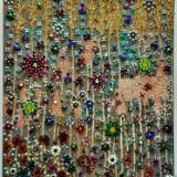 Clonabrack (sold)