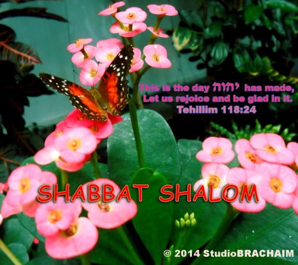 Ps 118:24~Shabbat Shalom