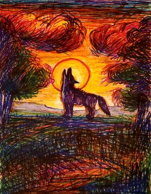 A Wolf and the Setting Sun 
