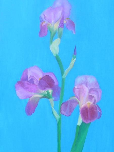 Irises