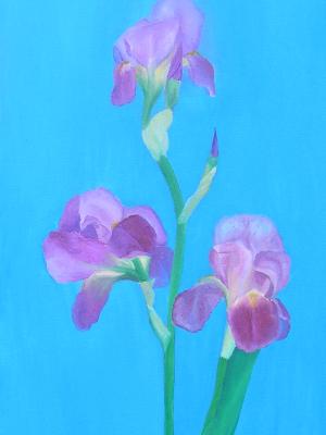 Irises