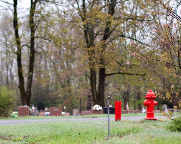 prospect hill cemetery, gloversville, ny  (canon r50 ttartisan 50mm f/1.8)