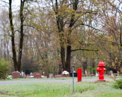 prospect hill cemetery, gloversville, ny  (canon r50 ttartisan 50mm f/1.8)