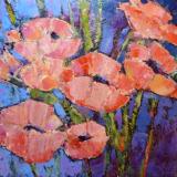 Salmon Poppies