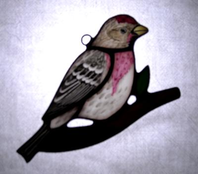 Common Redpoll Sun Catcher Common Redpoll Sun Catcher