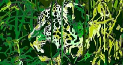 The Tall Grass The Tall Grass