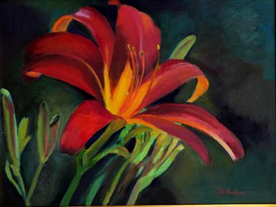 Red Day Lily Red Day Lily