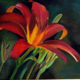 Red Day Lily