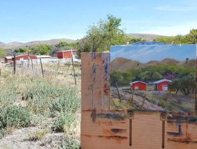 Little Red Barns on the Mimbres River in the spring.