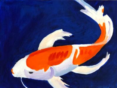 Koi