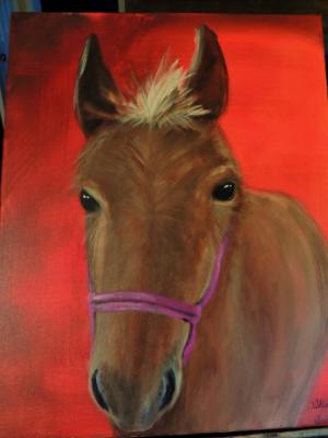 Willie Muleson Willie Muleson