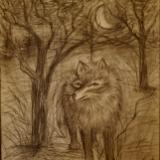 Cry Wolf