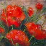 Poppies