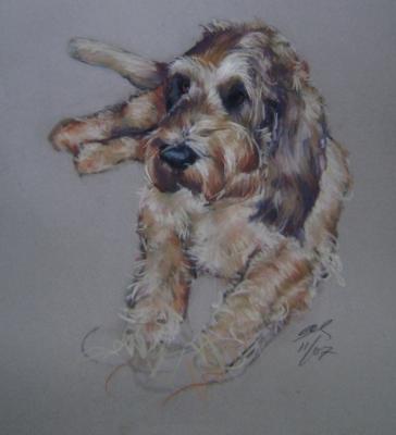 Old Boy 16x20" pastel Old Boy 16x20" pastel