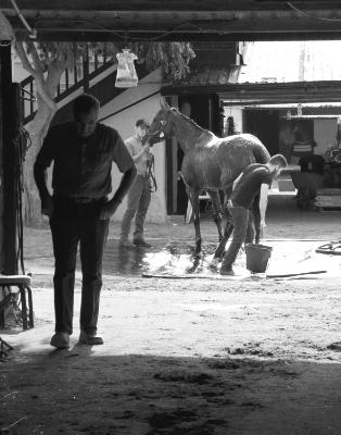 Behind the Scenes at the Del Mar Racetrack