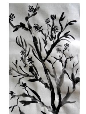 Branches