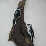 Pair Life size Downy Woodpeckers