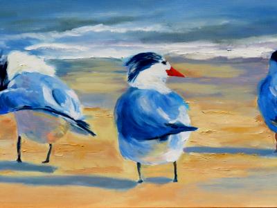 Royal Terns - oil - 12x24