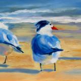 Royal Terns - oil - 12x24