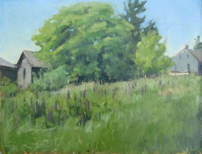 The Lupine Field 14x18" sold The Lupine Field 14x18" sold