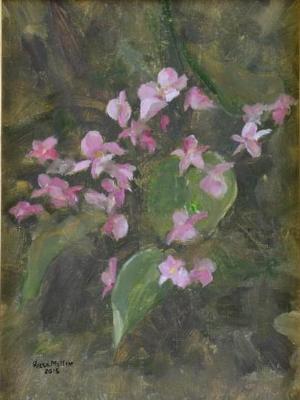 *Pink Blossoms *Pink Blossoms