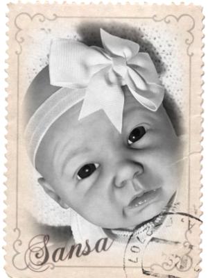  Reborn Baby Girl ~ SANSA ~ ADOPTED/SOLD