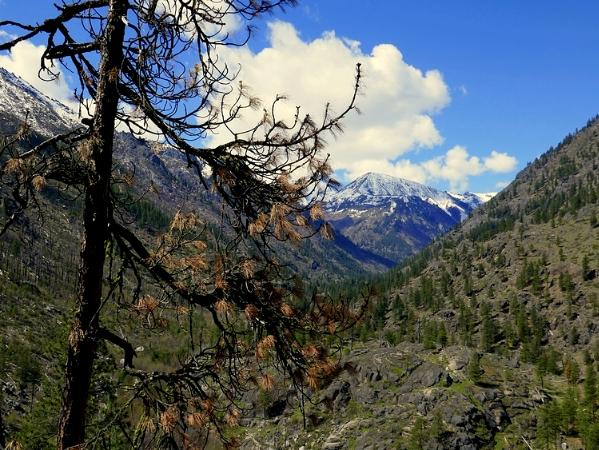 Snow Lakes Trail, WA