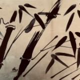 Bamboo 2