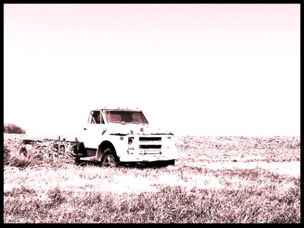 Dead in a Field