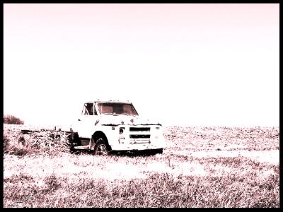 Dead in a Field 8" x 10" Print Dead in a Field 8" x 10" Print
