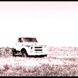 Dead in a Field