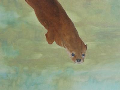 Otter Otter