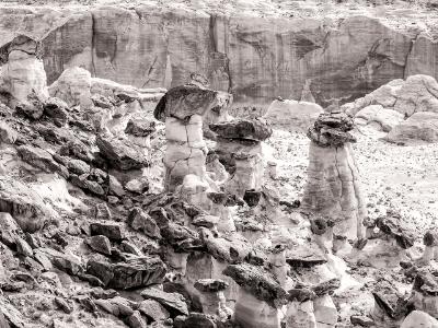 Rimrock Toadstools Black and White Rimrock Toadstools Black and White