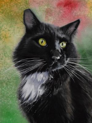 BIRD il gatto amato, 38cm x 56cm, 2020 BIRD il gatto amato, 38cm x 56cm, 2020