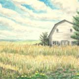 Summer Barn