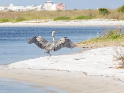 Beach Landing Beach Landing