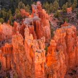 Hoodoo Wedge Below Inspiration Point