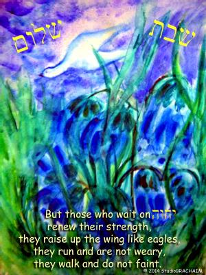 Isa 40:31 Shabbat Shalom Isa 40:31 Shabbat Shalom