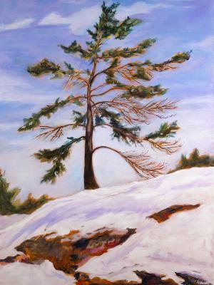 French River Pine (SOLD)