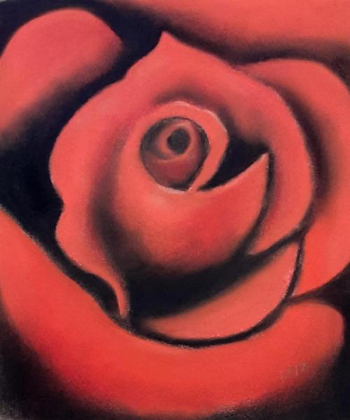 "Red Rose"