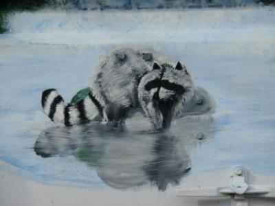 added racoon and reflection