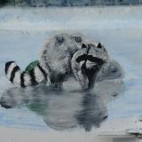 added racoon and reflection