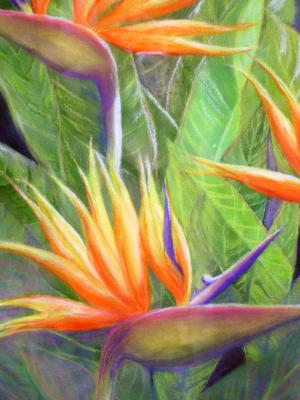 Bird of Paradise ll ~ 18X24 ~ Mixed Media Bird of Paradise ll ~ 18X24 ~ Mixed Media