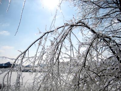 Indiana Ice Storm