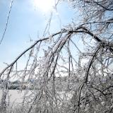 Indiana Ice Storm