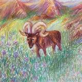 Wildflower Intricacy 