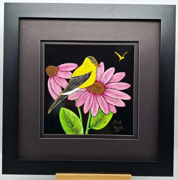 Gold Finch on Cone Flower