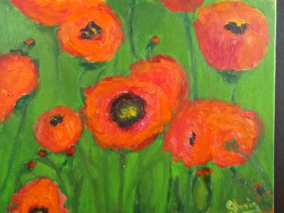Poppies for Sale
