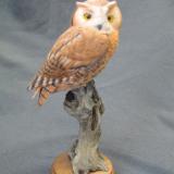 Half size Screech Owl Red Phase - sold