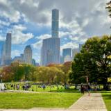 autumnal marathon day 2021 (iPhone 12)